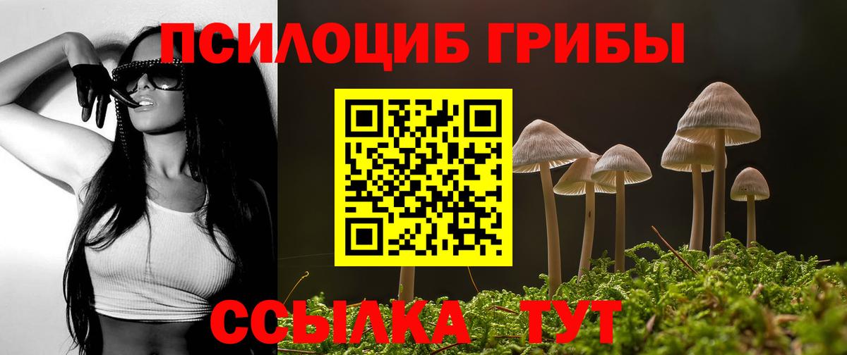 Медногорск  Галлюциногенные грибы мухоморы  Вход с VPN 