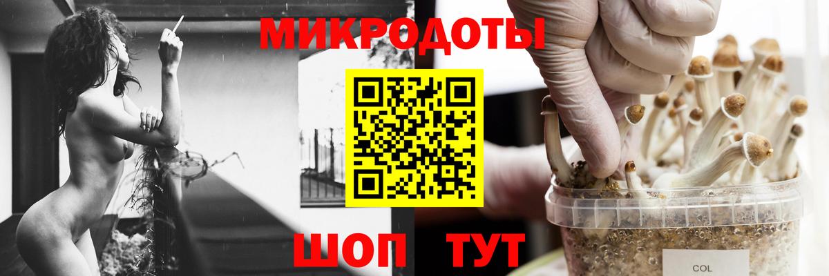 Псилоцибиновые грибы ЛСД Медногорск